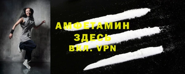 хмурый Вяземский