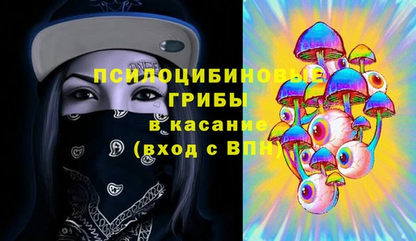 бошки Володарск