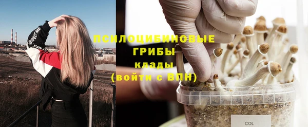 MESCALINE Вязьма