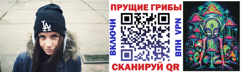 наркошоп Новочеркасск Псилоцибиновые грибы прущие грибы