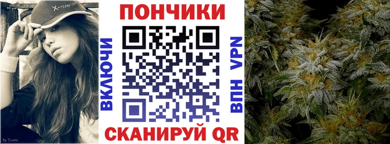 Шишки марихуана марихуана  Новочеркасск 